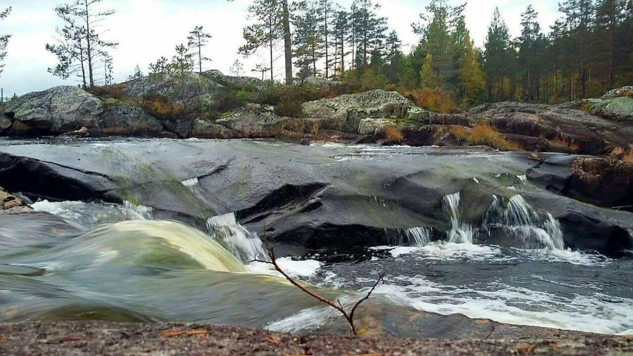 Hamra Stugby - Nature Adventures همرا المظهر الخارجي الصورة